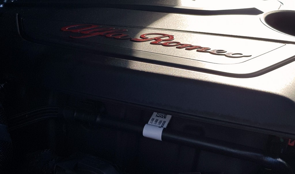 Imagen 260113084558370